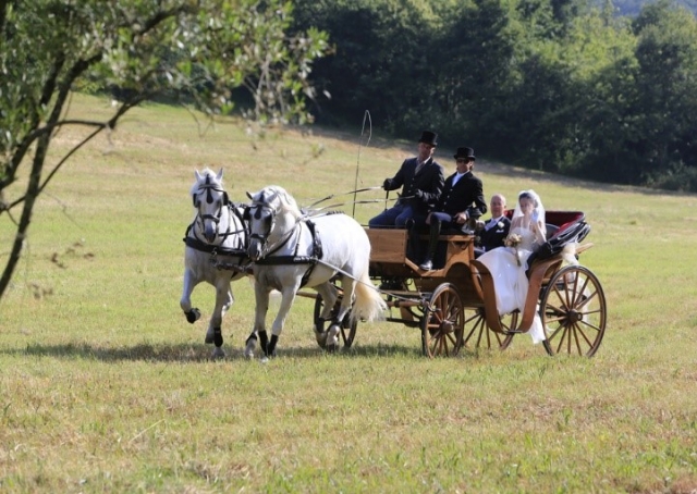 In carrozza per eventi